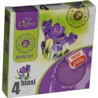 Admit Teelichter Maxi Teelicht Duftkerzen Krokus