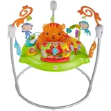Fisher-Price Fisher-Price, Jumperoo