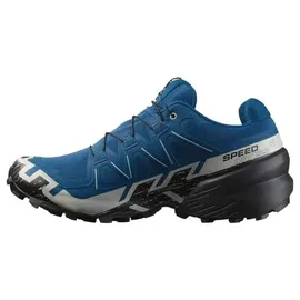 Salomon Speedcross 6 Gore-Tex Herren Poseidon / Black / Lunar Rock 40