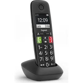 Gigaset E290