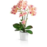 PASCH® Orchideen künstlich in Hochglanz-Keramiktöpfen (46cm) | Kunstblumen im Topf | Kunstblumen wie echt | künstliche Orchideen im Topf | künstliche Blumen im Topf (Hellrosa)