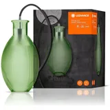 LEDVANCE Vintage 1906 Carved Table Grape Glass Green