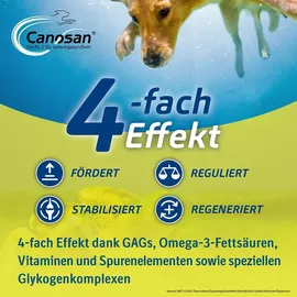 Boehringer Ingelheim Canosan Kautabletten für Hunde 30 St.
