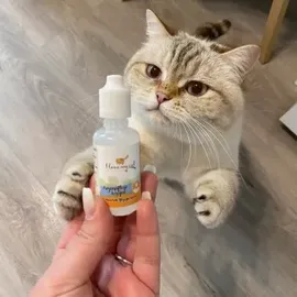 I LOVE MY CAT Ohrenpflege Tropfen 30 ml