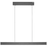 neuhaus pure® by paul neuhaus PURE E-Motion 1xLED-Board 26 W 120 cm platin gebürstet
