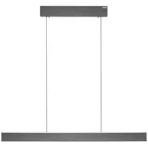 neuhaus pure® by paul neuhaus PURE E-Motion 1xLED-Board 26 W 120 cm platin gebürstet