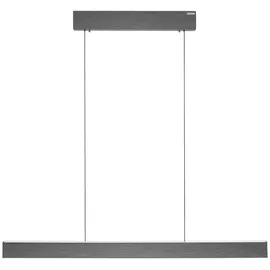 neuhaus pure® by paul neuhaus PURE E-Motion 1xLED-Board 26 W 120 cm platin gebürstet
