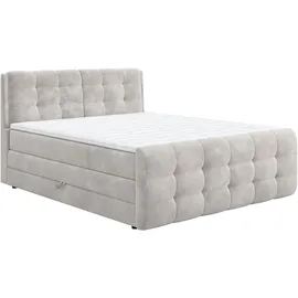 Cotta Boxspringbett COTTA "Fort mit Bettkasten, inkl. Topper", beige (natur), B:161cm L:228cm, 100% POLYESTER (PES), Komplettbetten, Boxspringbett, erhältlich in verschiedenen Breiten (160cm, 180cm & 200cm), Topseller