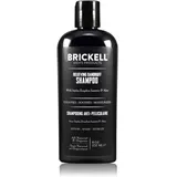 Brickell Men's Products Brickell Herren-Schuppen-Shampoo für Männer, natürlich und biologisch, beruhigt und beseitigt Schuppen mit Ziziphus Joazeiro, Aloe und Jojobaöl (237 ml)