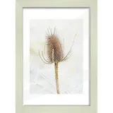 the wall - the art of framing ag Bilderrahmen Arosa Weiß 21x29,7 cm 2er Set