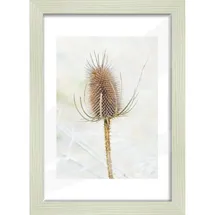 the wall - the art of framing ag Bilderrahmen Arosa Weiß 21x29,7 cm 2er Set