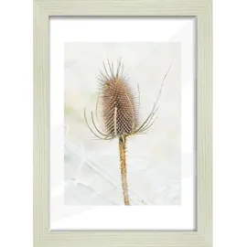 the wall - the art of framing ag Bilderrahmen Arosa Weiß 21x29,7 cm 2er Set