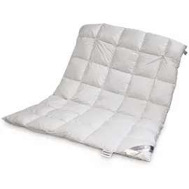 Betten Hofmann Sibiria exclusiv Daunendecke Daunenbett 5x7 155x220 sibirische Wildgans - Weiß