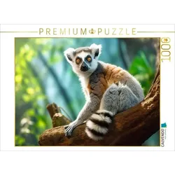 CALVENDO Puzzle Katta Lemur | 1000 Teile Lege-Größe 64x48cm Foto-Puzzle für glückliche Stunden