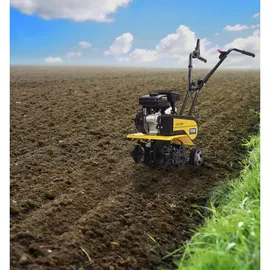 TEXAS Benzin-Motorhacke Lilli340TG