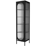 ML-Design Vitrinenschrank 42 x 175 x 40 cm Schwarz