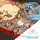 Intirilife 20-teiliges Keksausstecherset Silber, | Gr.: onesize
