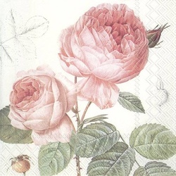 Serviette Elisabeth 20tlg. Papier Rosa