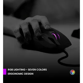 preyon Falcon schwarz