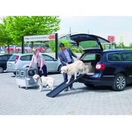 Trixie Klapp-Rampe, Kunststoff/Sandpapier