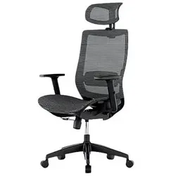 FlexiSpot Bürostuhl BS4 Stoff grau, Gestell grau