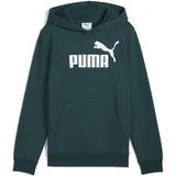 Puma ESS No. 1 Logo Hoodie FL B green terrain 128
