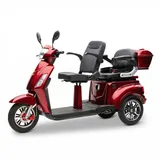ECONELO E-Seniorenmobil Billy 2.0 3-Rad 1000 Watt Rot/Grau