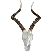 deluke Impalakopf GEOHE Kunststoff Weiß 11,5x33x68cm Wanddekoration Geweih Tier-Dekoration