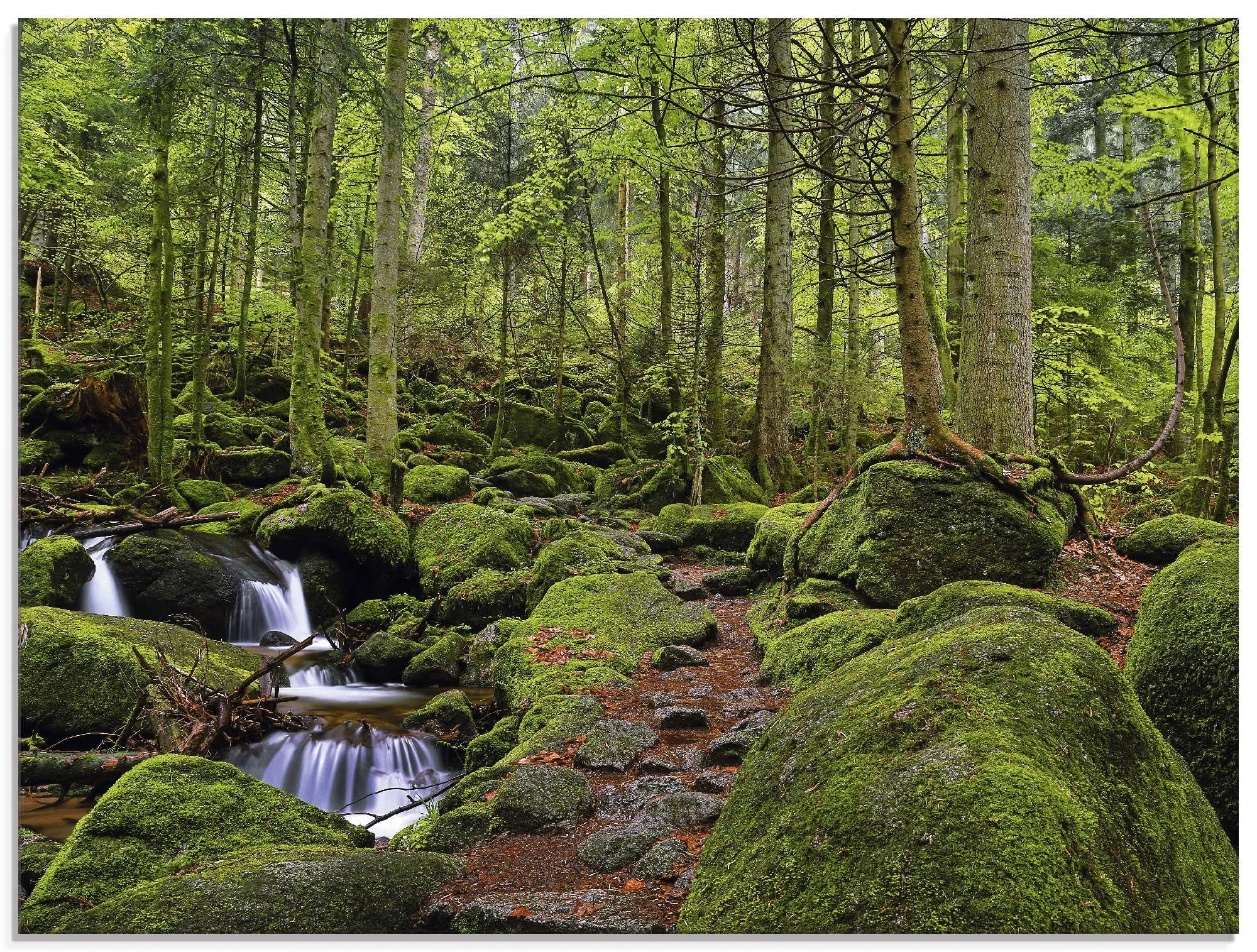 Artland Glasbild »Zauberwald mit Bach«, Wald, (1 St.), in verschiedenen Größen Artland grün