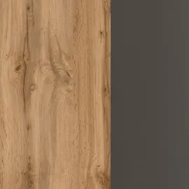 Held Hochschrank Sorrento 100 x 57 x 34 cm Wotan-Eiche-Grafit