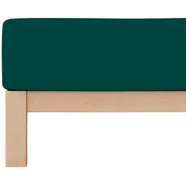 schlafgut Spannbettlaken Jersey-Baumwolle 120 x 200 - 130 x 220 cm grün