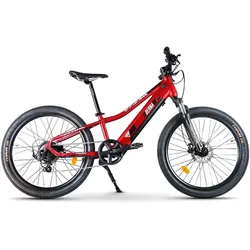 Urbanbiker Berna | Mountainbike E-Bike | 70KM Reichweite | 24