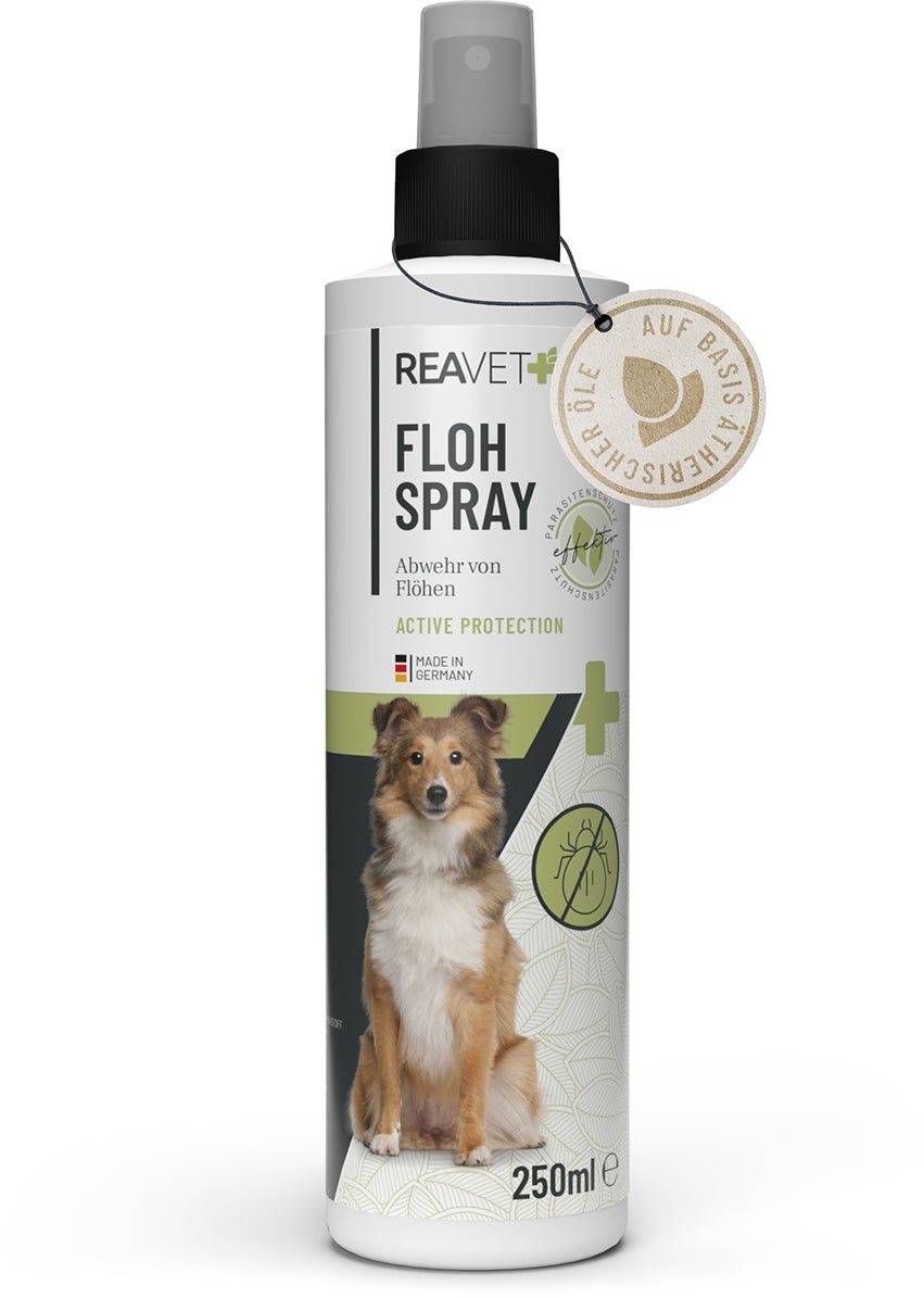 Floh Spray - ReaVET 250 ml