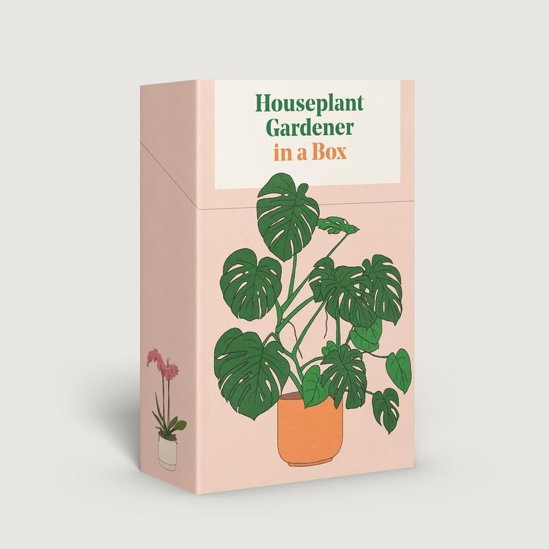 Houseplant Gardener In A Box - Jane Perrone  Box