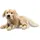Steiff Andor Golden Retriever