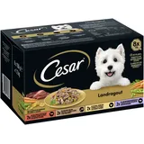 Cesar Landragout Vielfalt in Sauce 8 x 150 g