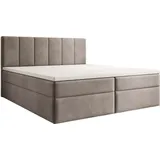 Luxusbetten24 Boxspringbett Aurelia Samt mit Stauraum Grau 160x200 ohne Topper - Grau