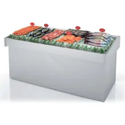 Neutrale Fisch-Vitrine - 2200x950x990