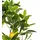 Beliani Kunstpflanze Lemon Tree 105 cm