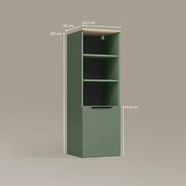 livinity® Piave Universalschrank 40,2x120x40 cm Grün
