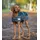 Waldhausen Hundemantel 200 g Blau 35 cm