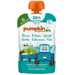 Pumpkin Quetschie - Birne, Erbsen, Spinat, Gurke, Kokosnuss, Reis bio