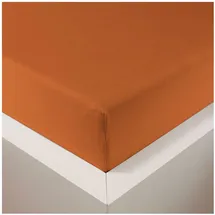 Traumschlaf Spannbettlaken Baumwolle-Jersey-Lyocell 120 x 200 cm orange