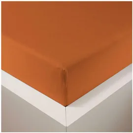 Traumschlaf Spannbettlaken Baumwolle-Jersey-Lyocell 120 x 200 cm orange