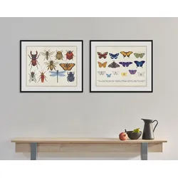 queence Bild »Das Große Krabbeln«, Schmetterlinge-Kunst-Insekten, (1 St.), HD Premium Poster-Druck inkl. Holzrahmen queence Farbe Rahmen: schwarz + Farbe Bild(er): bunt