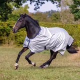 Bucas Power Turnout Light Regendecke Silver 135