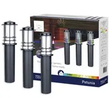 Müller-Licht Müller Licht tint LED Wegeleuchte Petunia anthrazit 35 cm 3er RGBW,