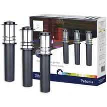 Müller-Licht Müller Licht tint LED Wegeleuchte Petunia anthrazit 35 cm 3er RGBW,