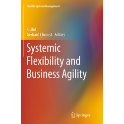 Systemic Flexibility And Business Agility, Kartoniert (TB)