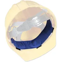 Ergodyne Chill-Its 6716 Verdunstendes Polymer-Schutzfutter, kühlendes Innenfutter, einfarbig, Blau, Einheitsgröße